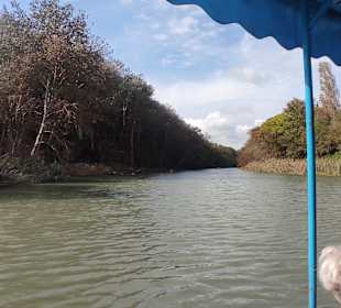 Jeep Safari Goldstrand