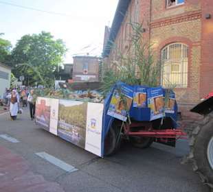 Festungsfest Germersheim Umzug