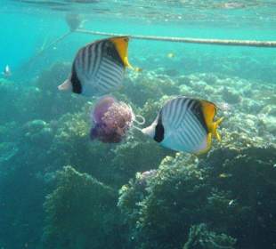 Alle Bilder an einem Tag!