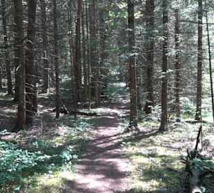 Premiumwanderweg Hochgehschätzt