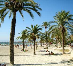 Die Playa de Palma