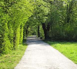 Impressionen aus dem Hermann-Löns-Park