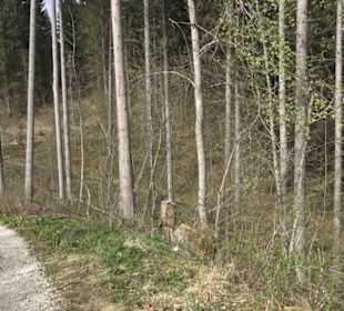 Wanderweg Hochgehswiggert