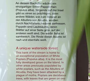 Wanderung Puig de Son Jordi