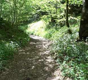 Premiumwanderweg Hochgehschätzt