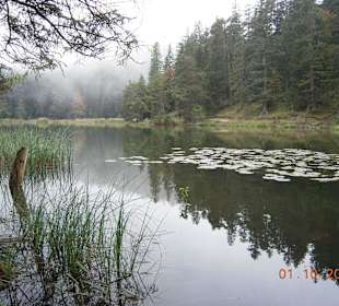 Idylischer See