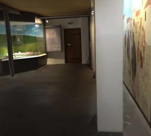 Museum Römer und Bajuwaren