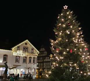 Weihnachtsbaum im Abendglanz