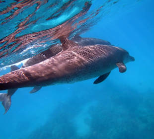 Bilder vom 13.10.16 von mir geschossen