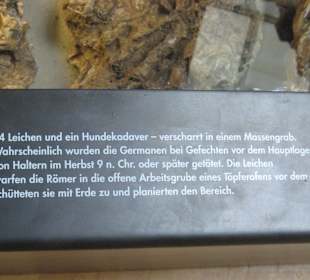 Infos zum Massengrab 