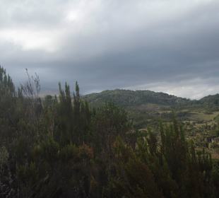 Kilimandżaro