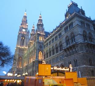 Mercado Navideño Vienna