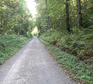 Wanderung Kirnberg-Runde Bebenhausen