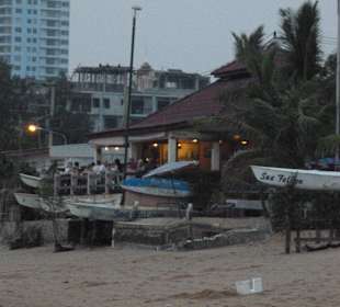 Sicht vom Strand Sea Falcon
