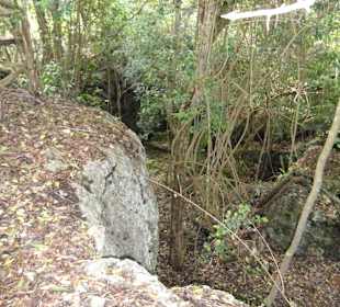 Höhle im Nationalpark