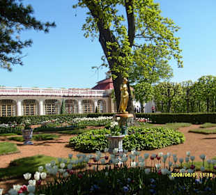 Peterhof