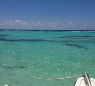 Ausflug Saona mit Ralf