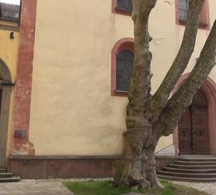 Kloster Unserer Lieben Frau