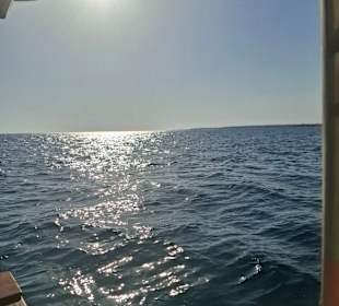 Aussicht vom Boot