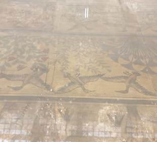 Erlebnis Ägypten VIP Ausflüge