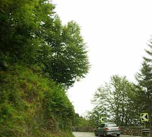 Auffahrt Plöckenpass