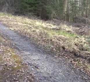 Rundwanderung durch den Rauhen Rammert Hemmendorf