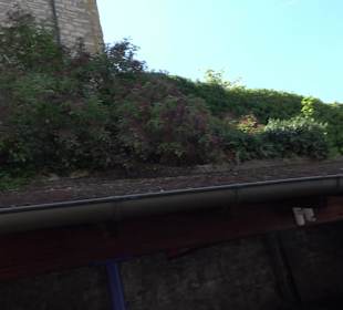 Ruine der Walpurgiskirche