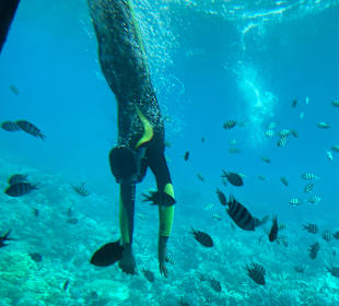 Glasbodenboot Tour Hurghada