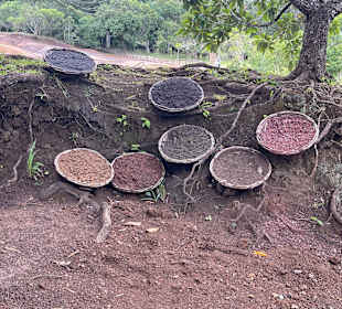 Siebenfarbige Erde / Terres des Sept Couleurs / Seven Colour