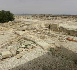 Kourion 8