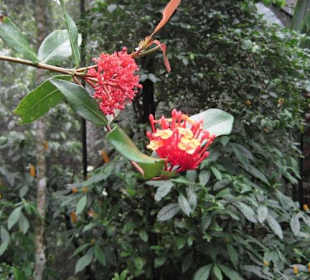 Exotische Fauna und Flora zum anfassen