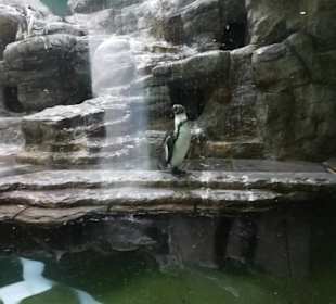 Zoo Besuch Prag