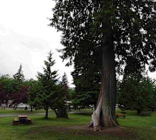 Shannon Falls Provincial Park