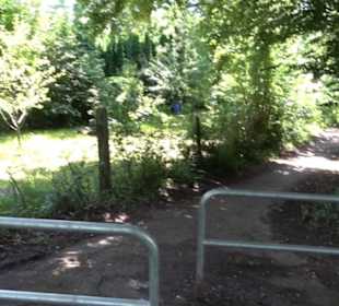 HAP Grieshaber Rundweg