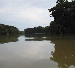 Canales en tortuguero