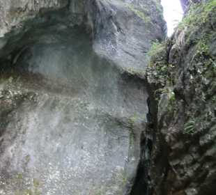 In der Aareschlucht
