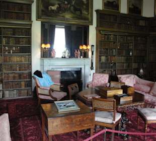 Biblioteka.