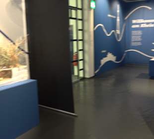 Stadtmuseum Karlsruhe