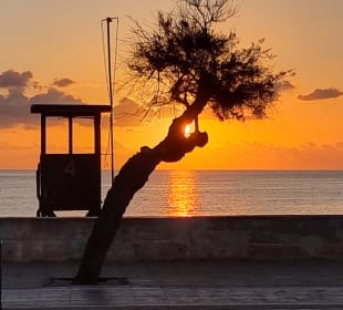 Strandpromenade Cala Millor