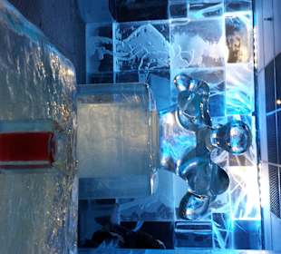 Eisbar in ca. 800 Metern entfernung