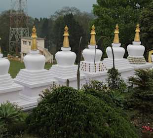 Kloster Zang Dhok Palri Phodang