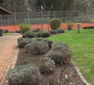 Tennisanlage Sonderbuch