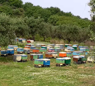 Wandern Georgioupolis