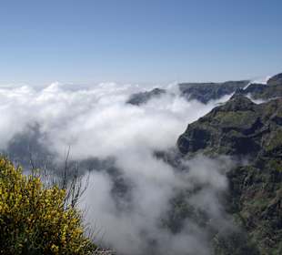 Zum Pico Ruivo