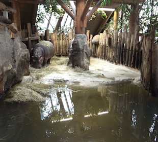 Zoologischer Stadtgarten