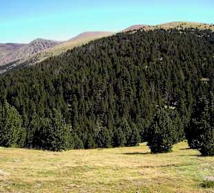 Hochebene La Rabassa