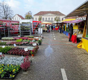 Rundgang über den Wochenmarkt Pferdemarkt