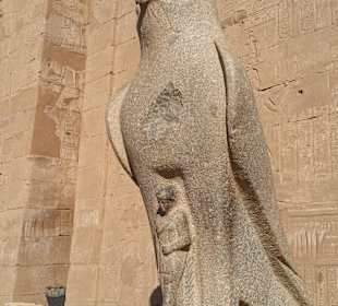 Edfu- Tempel