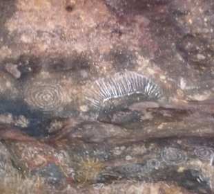 Uluru