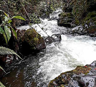 Rundweg „La Isla“ Path